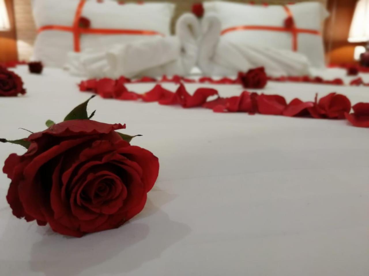 ماسة داركم للوحدات السكنية Aparthotel Buraidah Exterior photo